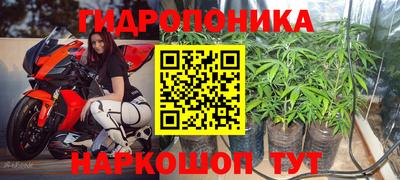 прущие крисы Кумертау