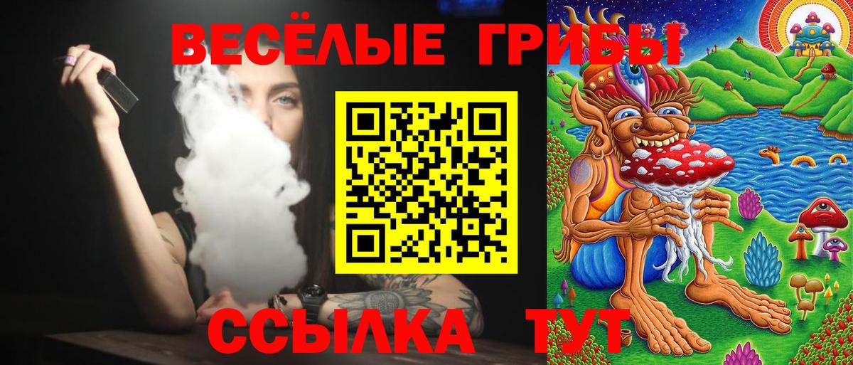 купить наркотик  Вход с VPN  Карачаевск  Галлюциногенные грибы GOLDEN TEACHER 